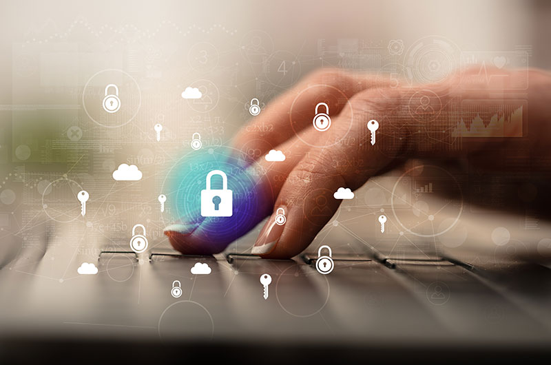 Sicurezza informatica, network security