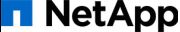 Netapp Partner